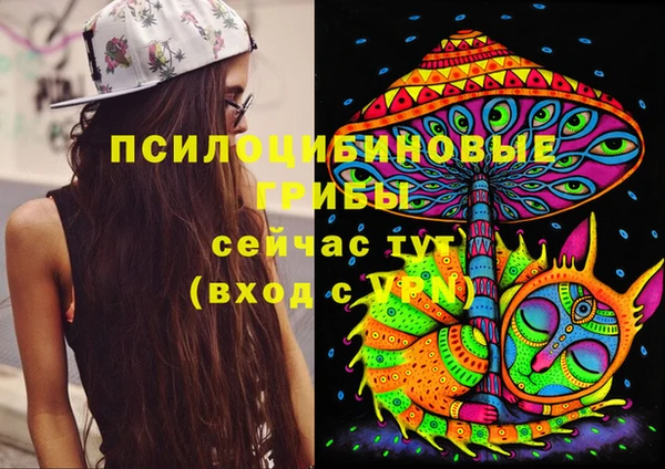 соль курить ск Карпинск