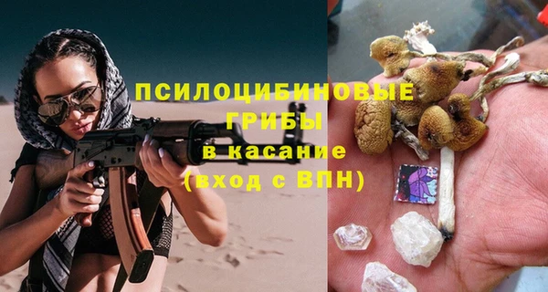 гидра Карталы