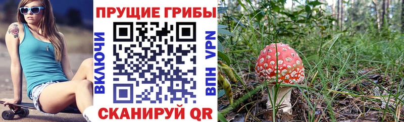 Купить где  Верхняя Салда  Галлюциногенные грибы MAGIC MUSHROOMS 